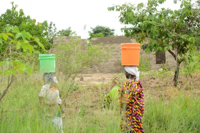 DSC_9581 (Large).JPG